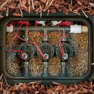 Accessories and Manifolds