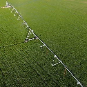 Center e Linear Pivot